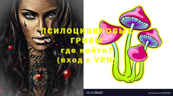 а пвп мука Корсаков