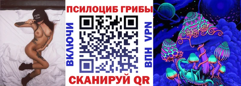 Купить закладки  Болгар  Галлюциногенные грибы Psilocybine cubensis 